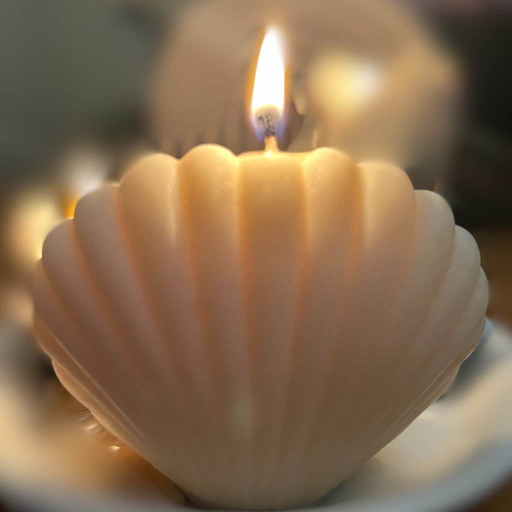 By the Seashore Seashell